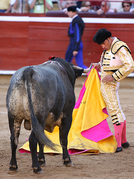 Adorn�ndose tras el remate