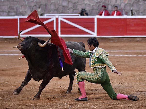 Ense�� sus credenciales