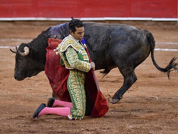 Variedad en la muleta