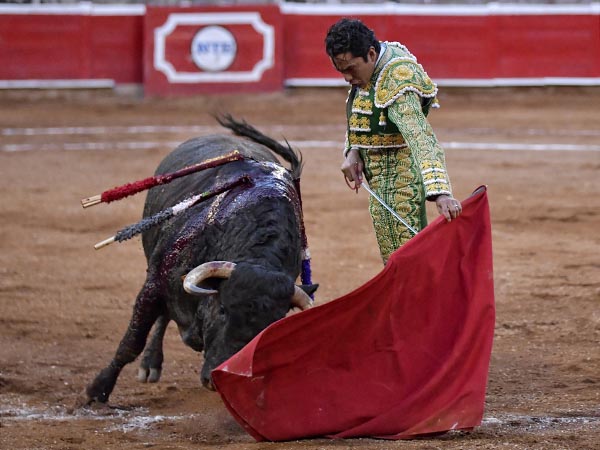 Ahormando una embestida incierta