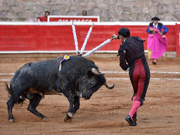 Portentosas facultades
