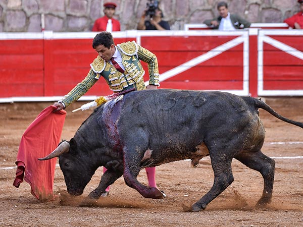 Faena meritoria de El Chihuahua
