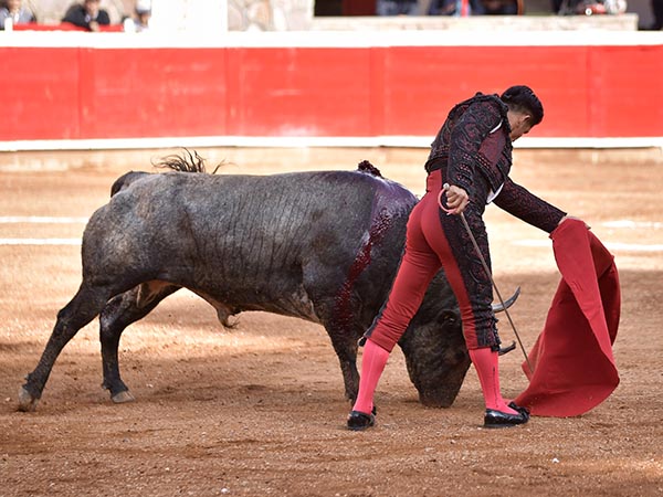 Embestidas nobles y con entrega