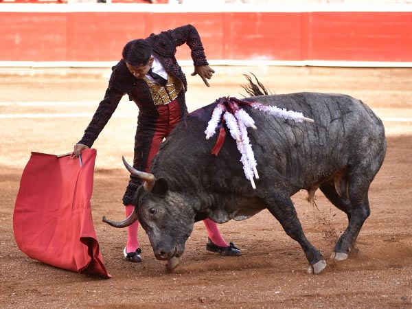 Zapata inicia la corrida