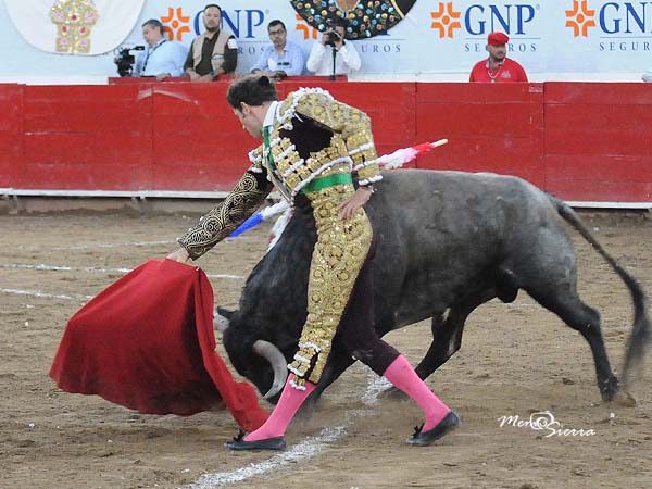 Porfiando con el c�rdeno