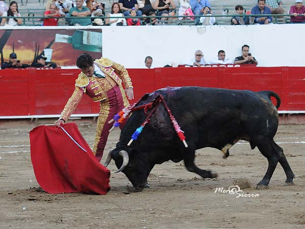 Conduciendo la embestida