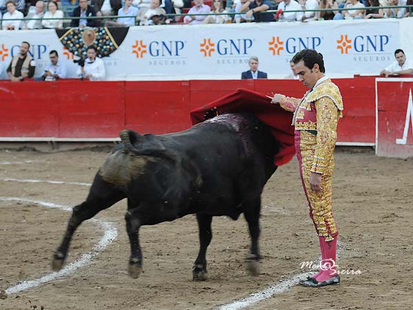 Un poste en el ruedo