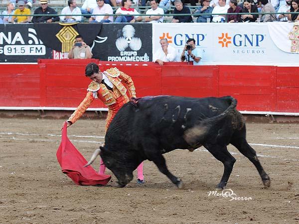 Ejemplar con arrobas