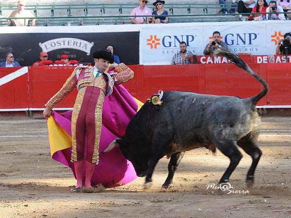 Las del poeta del toreo