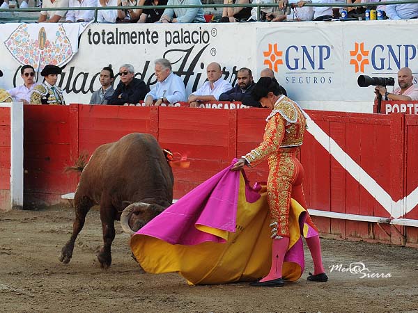 �ltima tarde de El Capea en Guadalajara