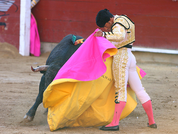 La ver�nica de Luis Bol�var