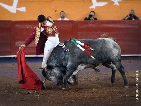 H�ctor, bien plantado