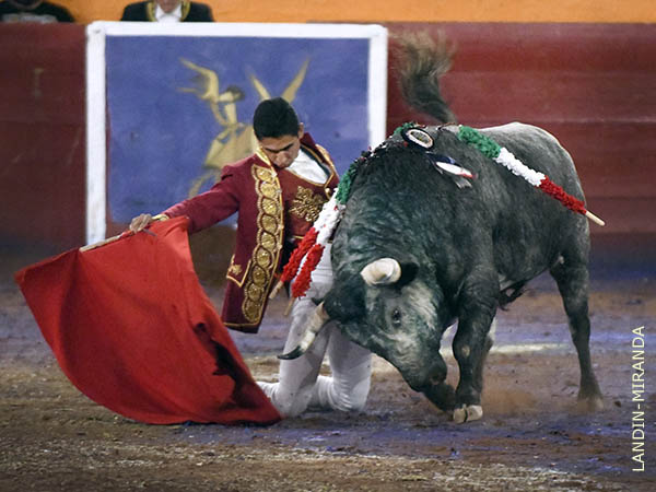 Enormes deseos de agradar