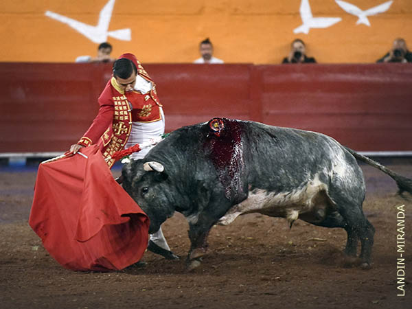 Temple y mando de Diego