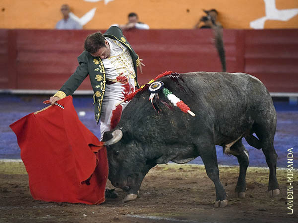 Concentrado por completo