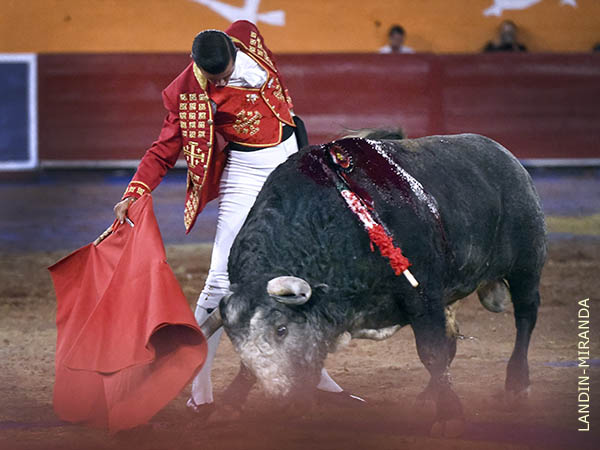 Ce�idos muletazos del hidroc�lido