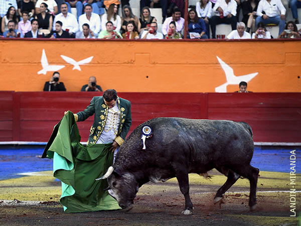 Lances en el centro del ruedo