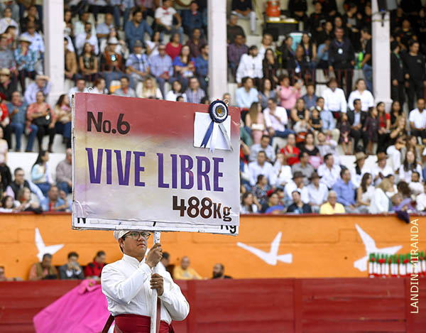 �Vive Libre!