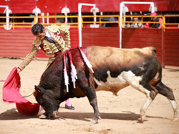 Exigi�ndole al Toro