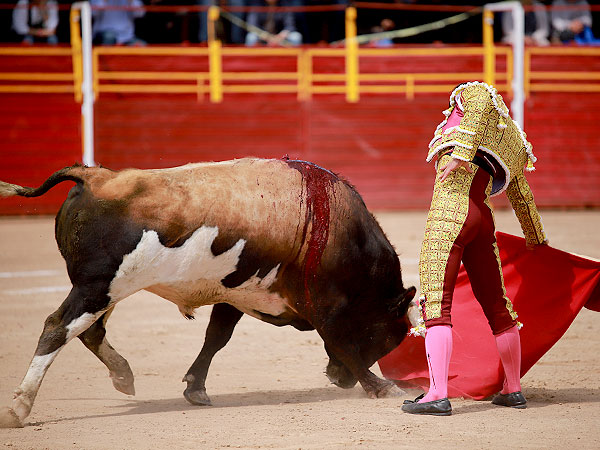 Corriendo la mano