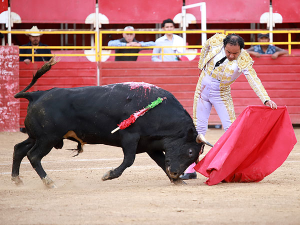 Tauromaquia depurada