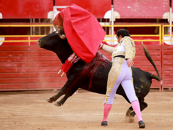 Pas�ndose todo el Toro