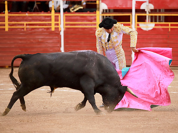 El arte de Jos� Luis Angelino