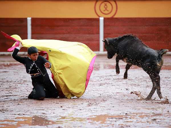 Kaleb Carre�n vaca de San Pedro