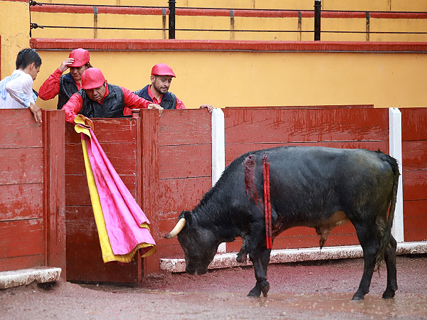 De vuelta a su Dehesa