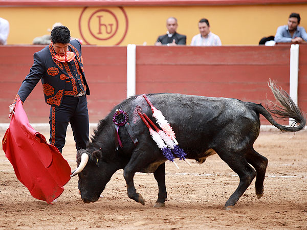 Calidad en la embestida