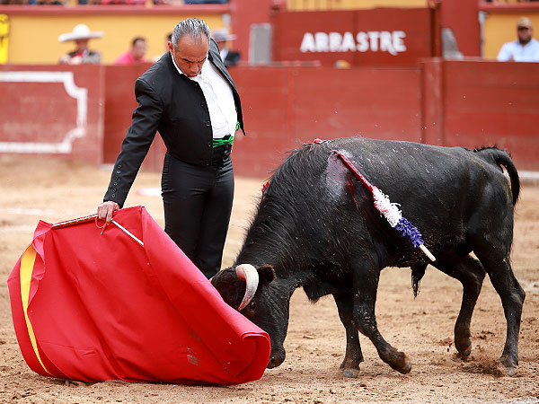 Saboreando la embestida