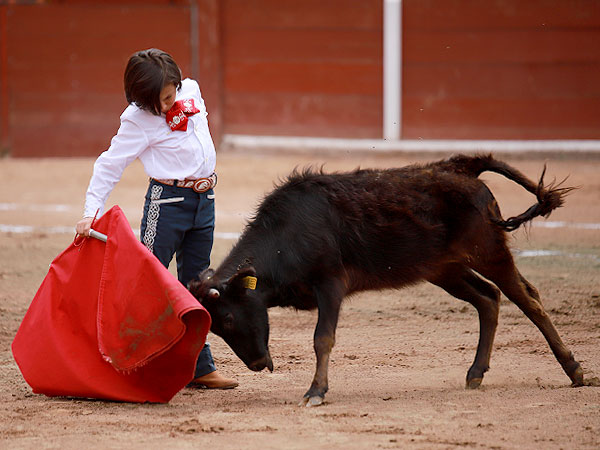 Santi Pel�ez vaca de La Joya