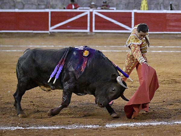 Sometiendo al c�rdeno