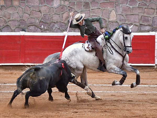 En distintos terrenos