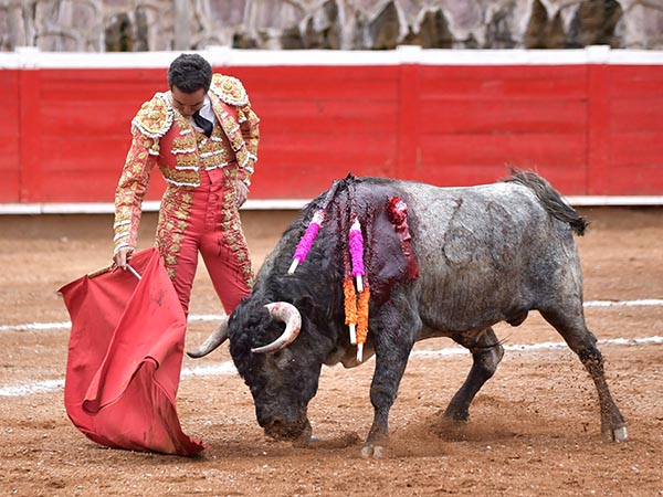 Calidad en la embestida