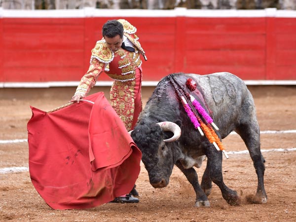 Muletazos templados, tersos, sin obligarlo