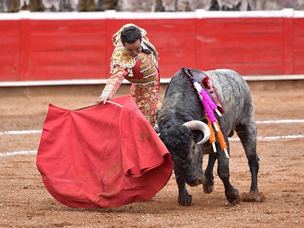 La primera faena de S�nchez