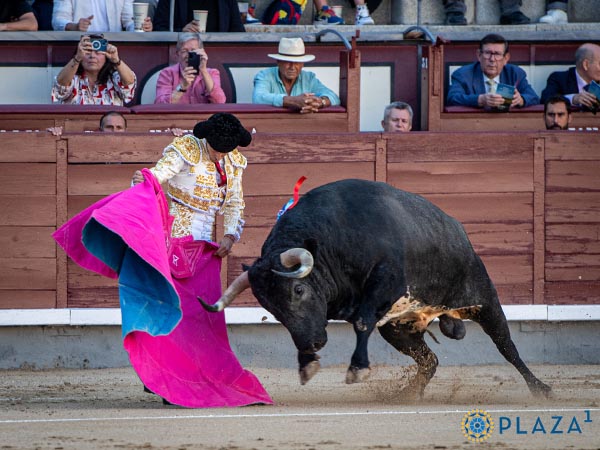Saludo a la ver�nica