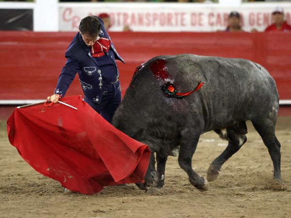 Metido en la canasta