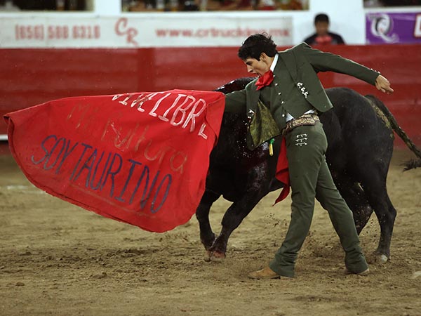 Declaracin de intenciones