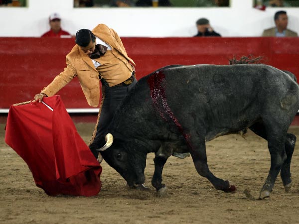 Acompasadas tandas de Diego