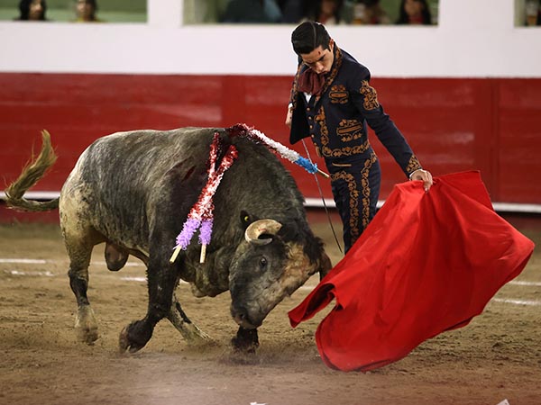 La izquierda de dinasta