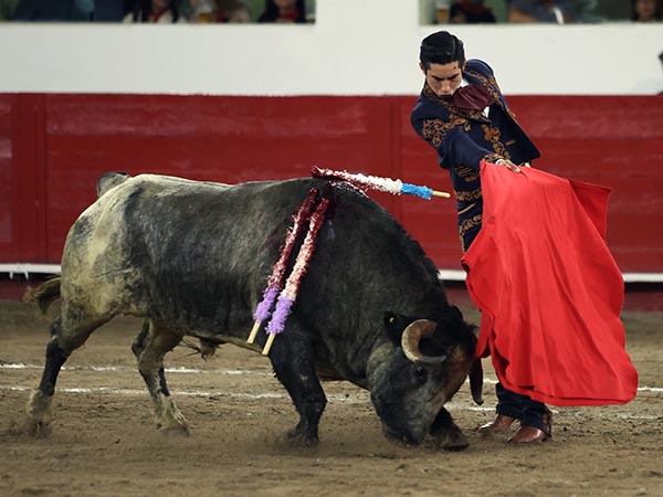 Sometiendo al ejemplar