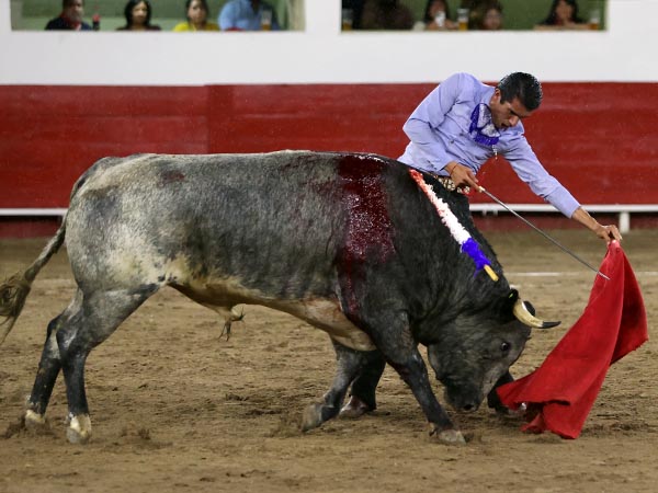 Ayudados a media altura