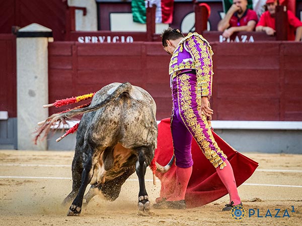 Reposados pases de Luis