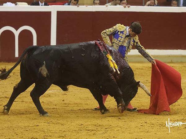 Pit�n izquierdo