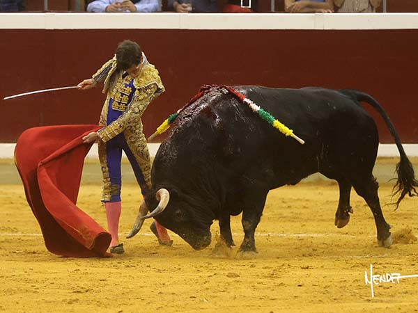 Adornos de muleta