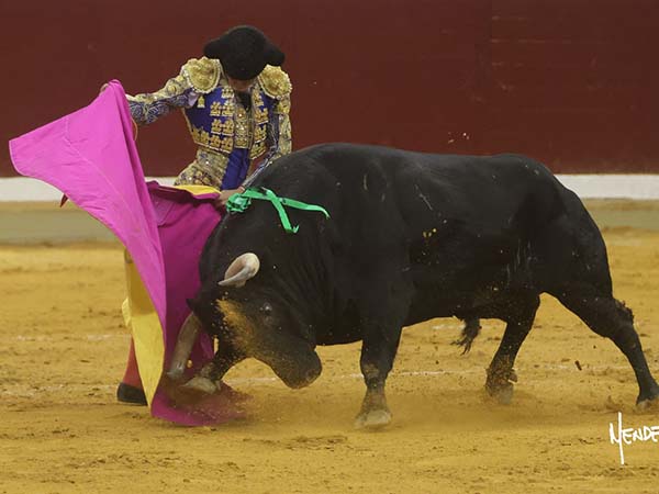 Templadas ver�nicas