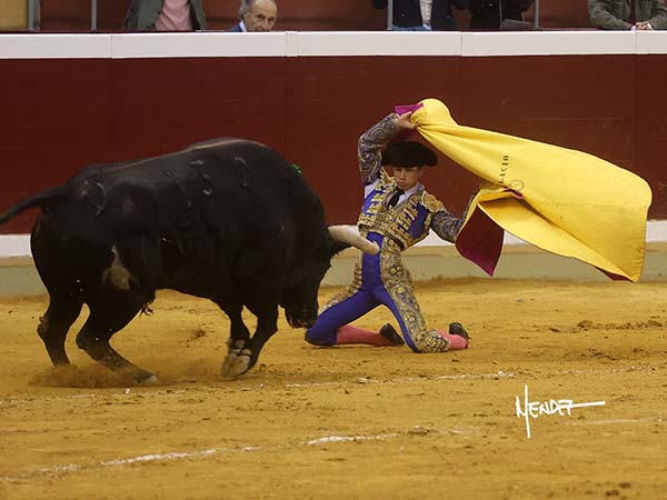 Afarolada de hinojos
