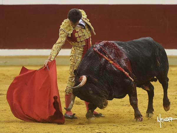 Ce�idas tandas